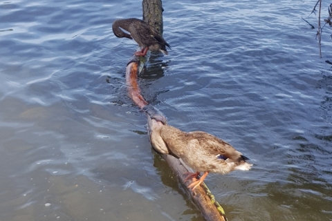 20190829_150426
