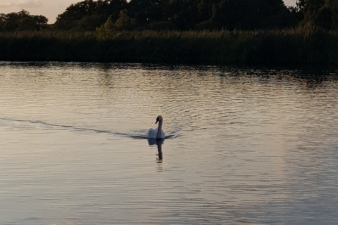 20190829_191908
