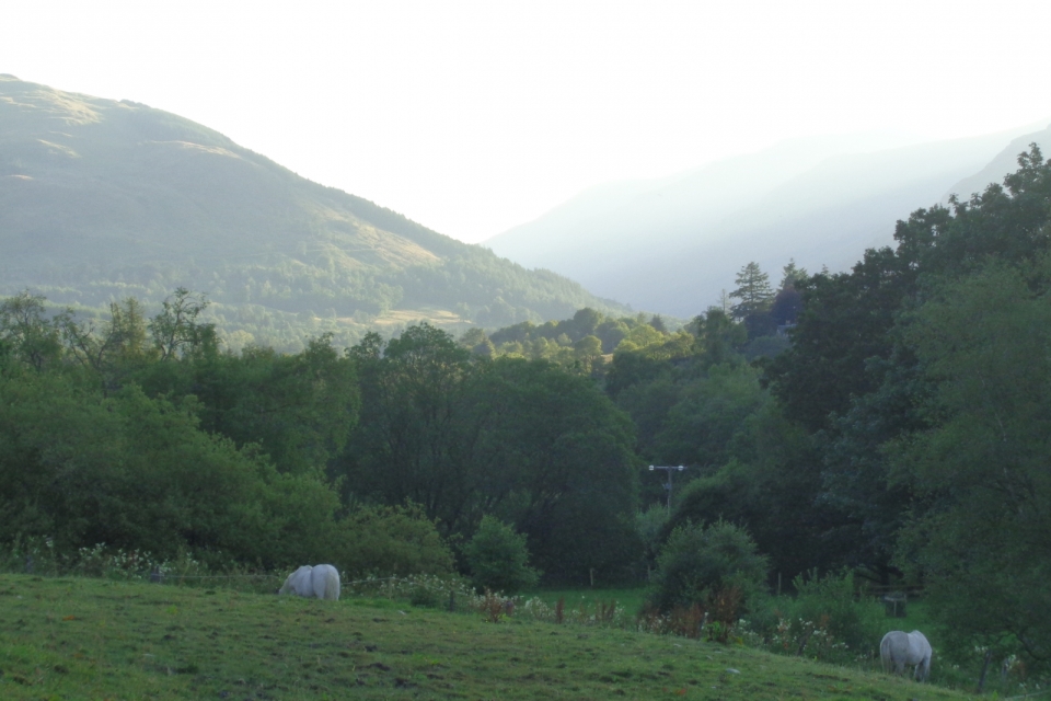 DSC01467