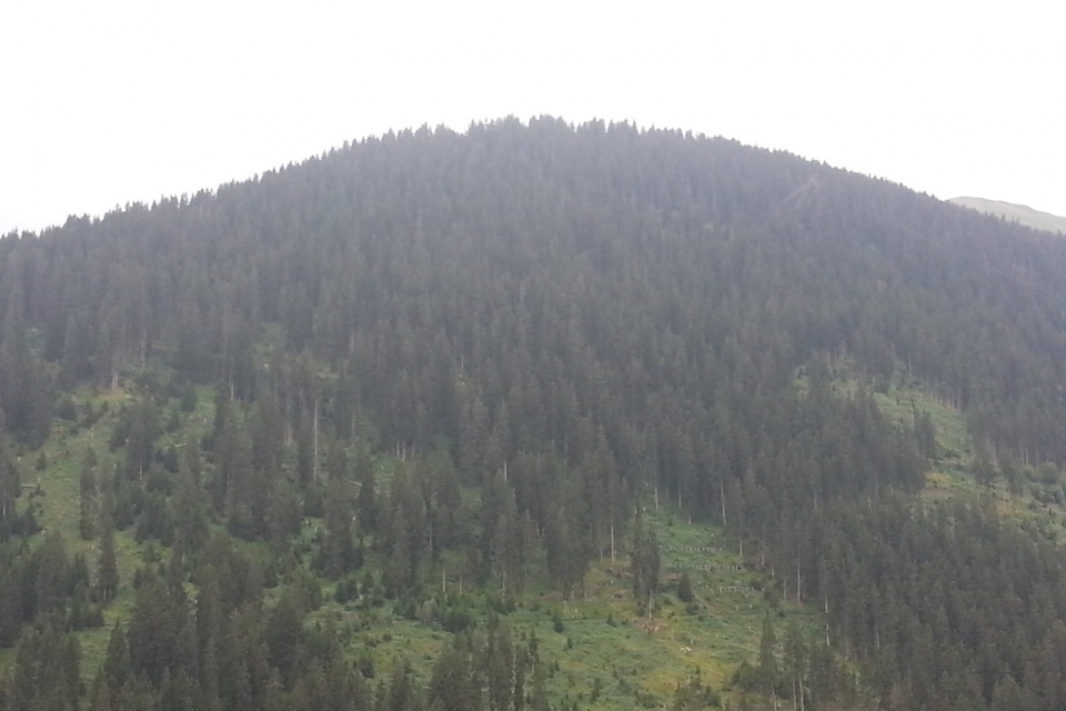 2013-08-07-17.53.23