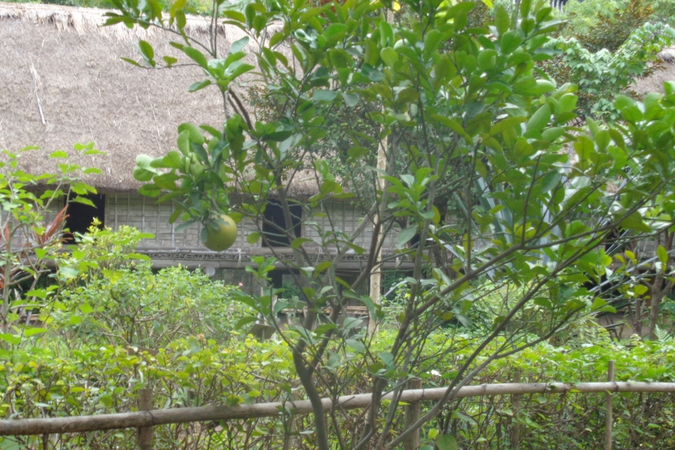 DSC00611