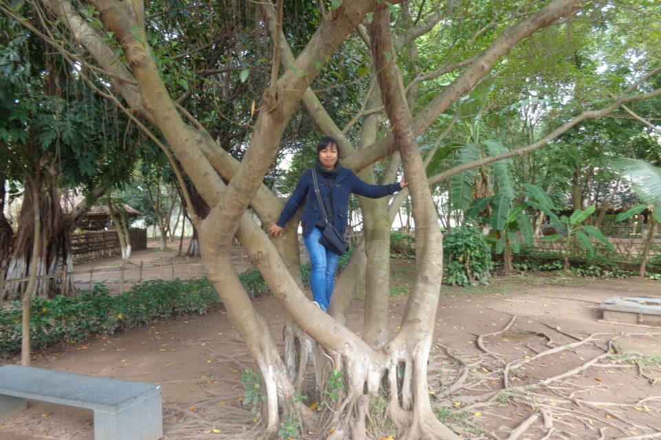 DSC00643