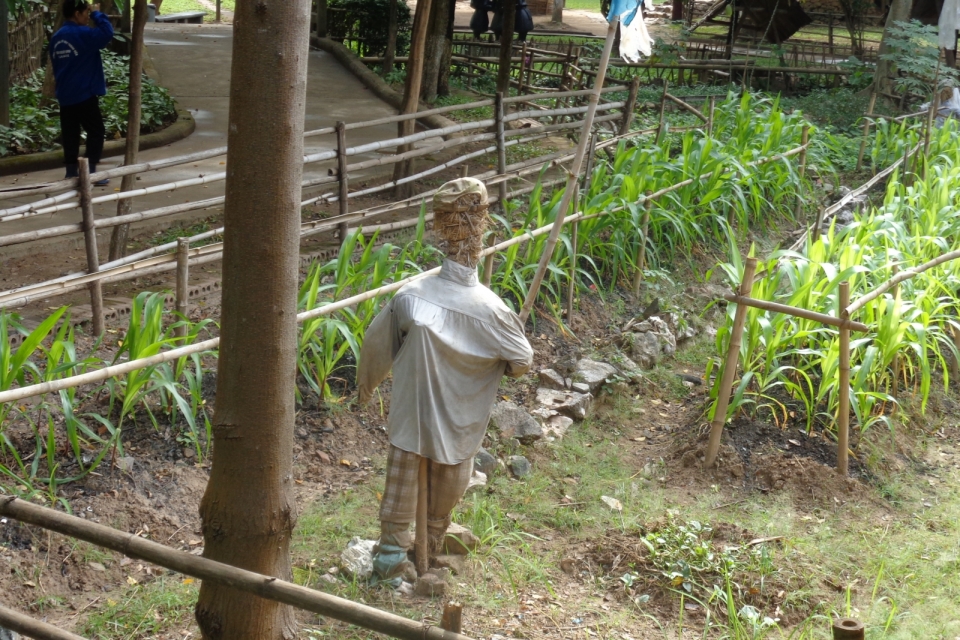 DSC00653